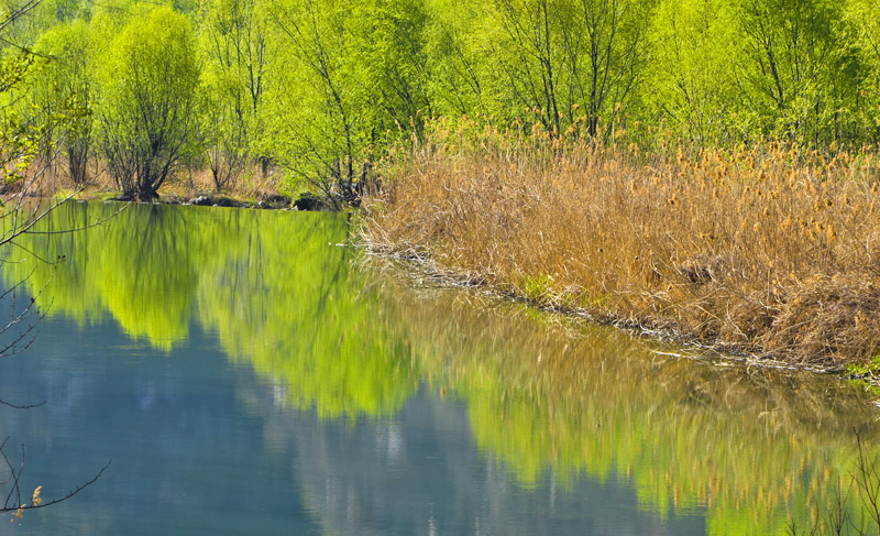 _DSC8032.jpg