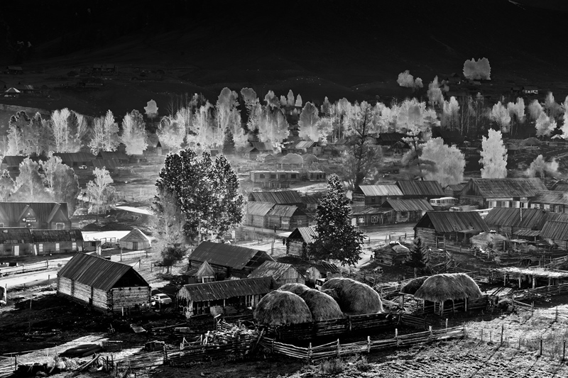 LZY_7557.jpg