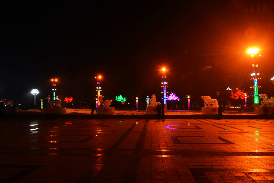 DSC_2510.jpg