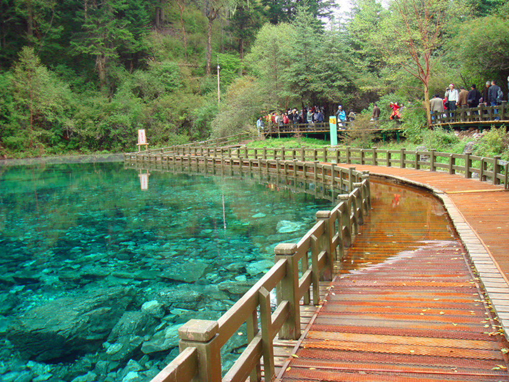 dsc02523_.jpg