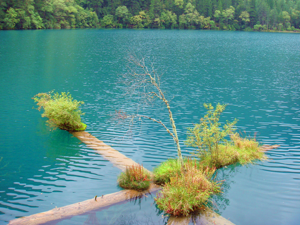 dsc02431_.jpg