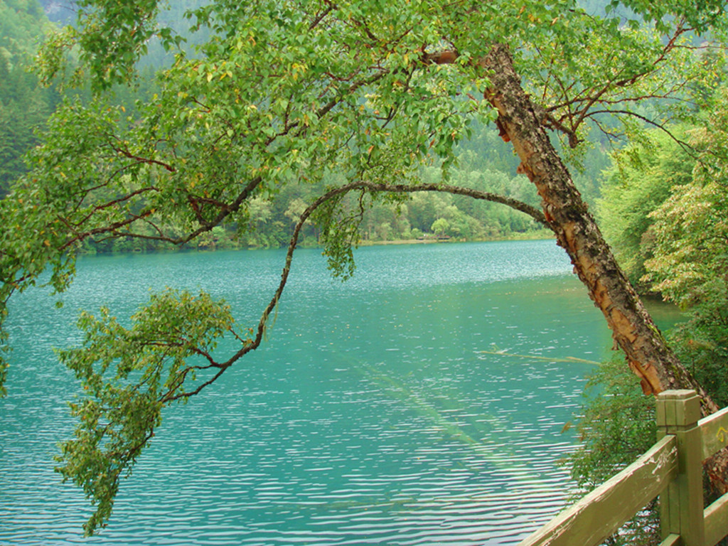 dsc02432_.jpg