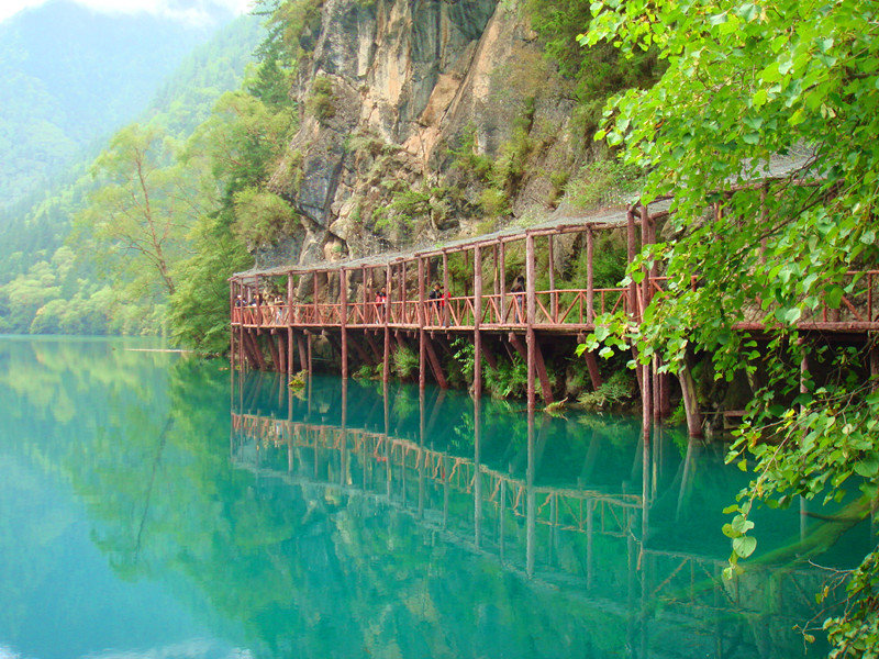 dsc02444_.jpg
