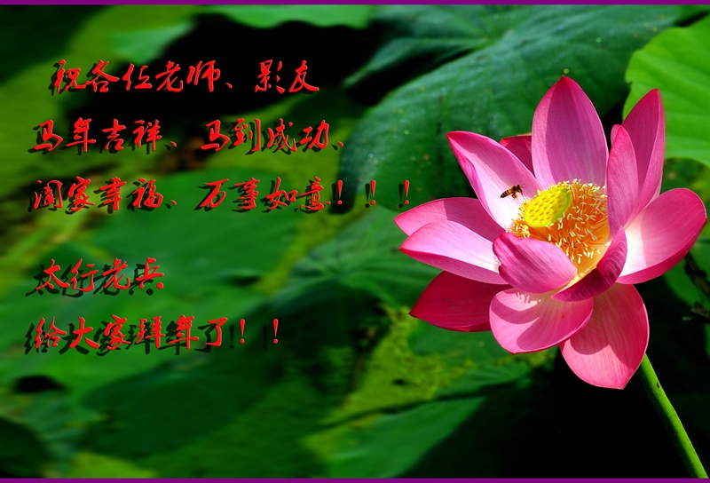 2014꿨-.jpg