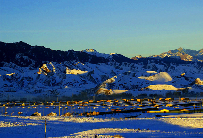 DSC02157___.jpg