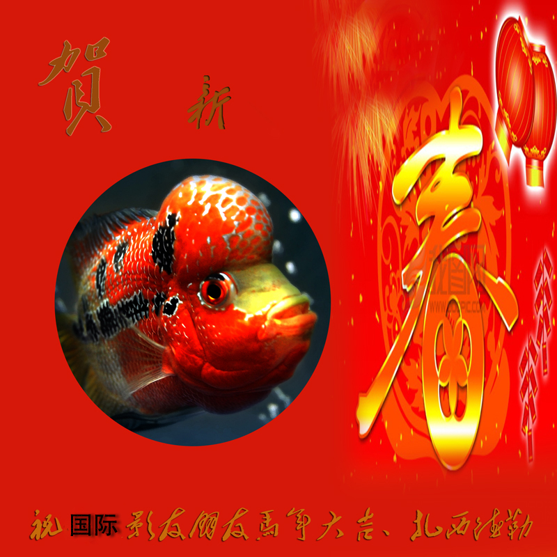 211638iztuvb0kmb2wmmqt.jpg