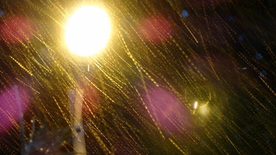 DSC07452.jpg