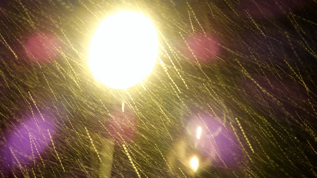 DSC07450.jpg