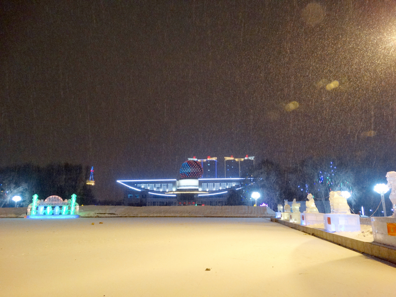 DSC07387.jpg