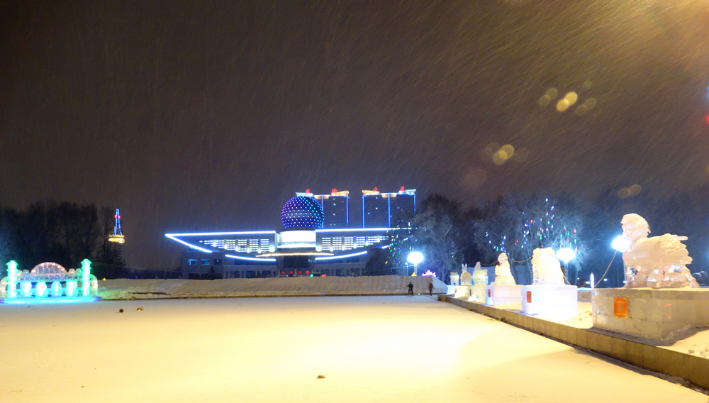 DSC07403.jpg