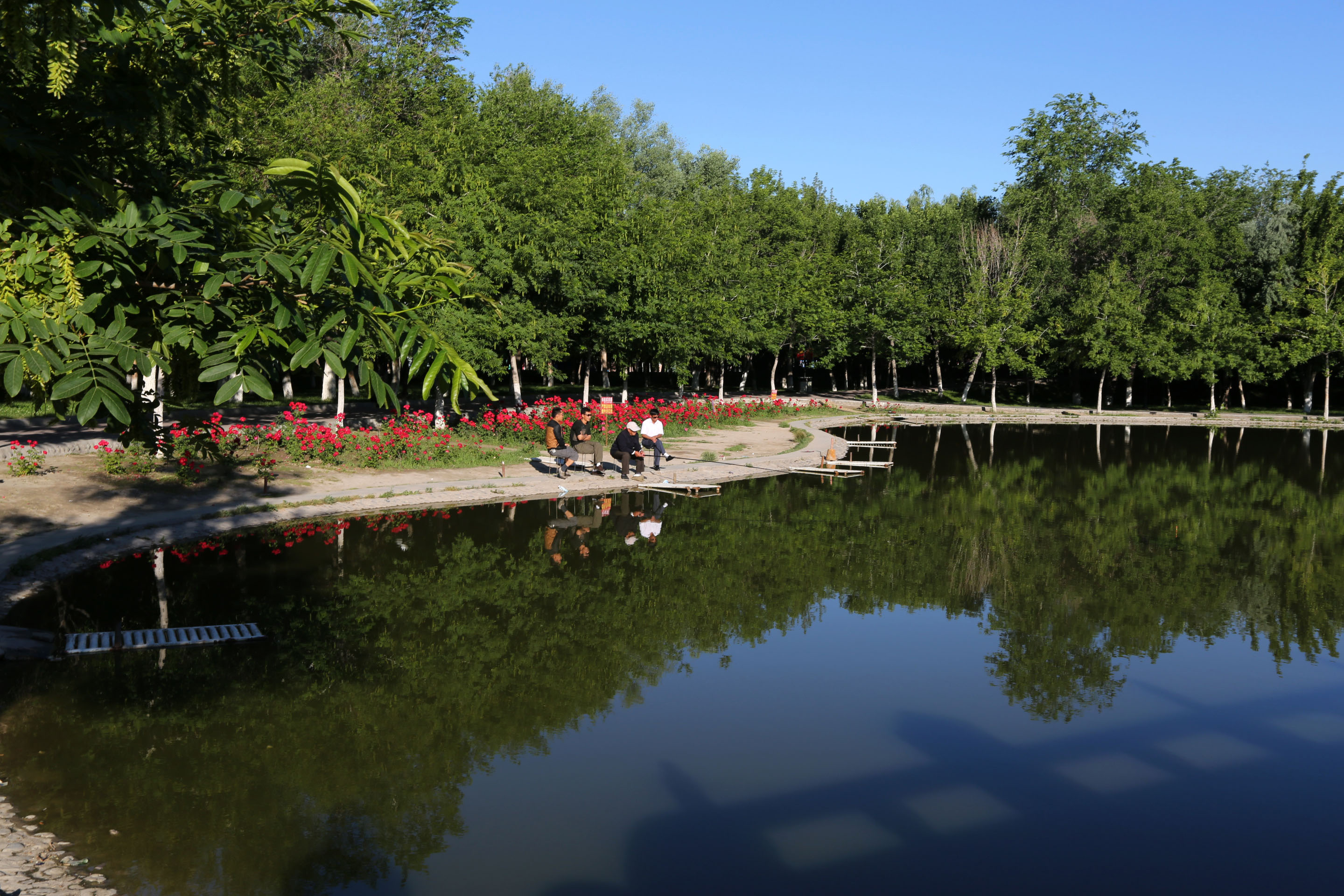 03.jpg
