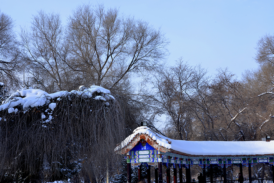 DSC_0051.JPG