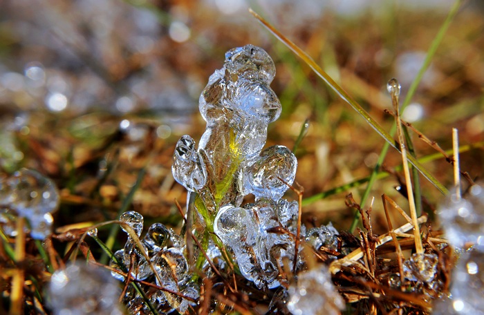 DSC_0088.jpg