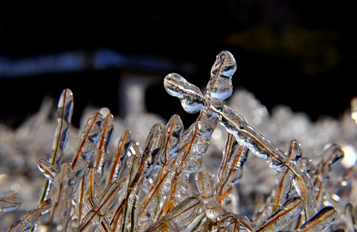DSC_0094.jpg