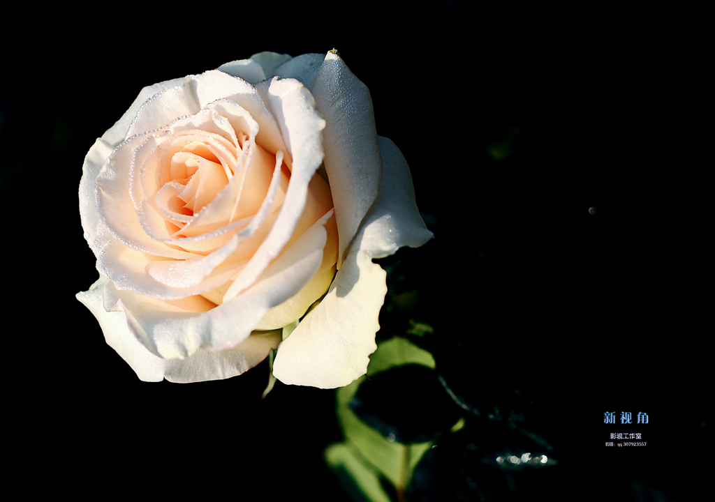 DSC_3036.jpg
