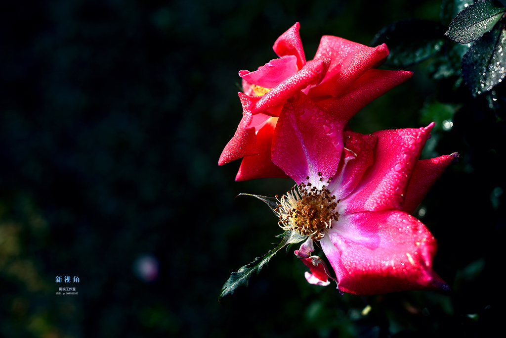 DSC_3041.jpg