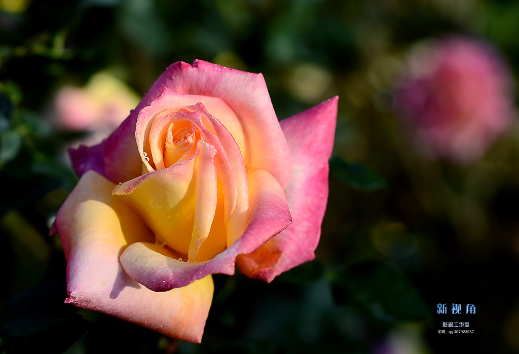 DSC_3048.jpg