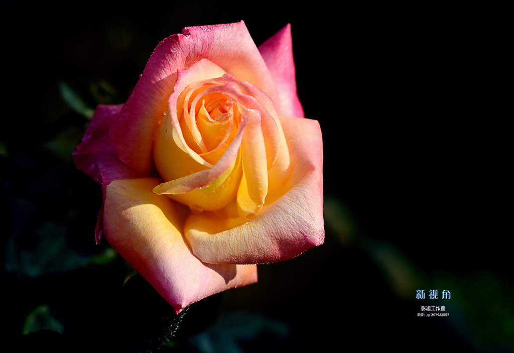 DSC_3050.jpg