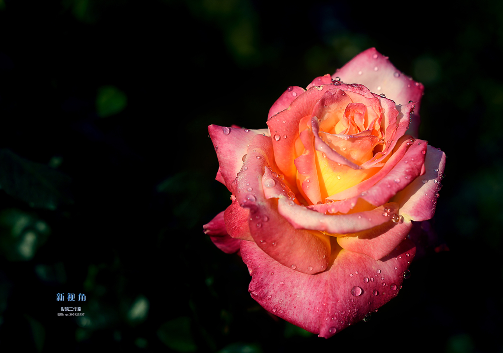 DSC_3055.jpg