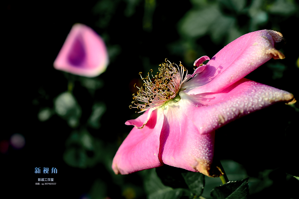 DSC_3062.jpg
