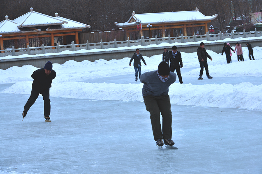 DSC_0050.JPG
