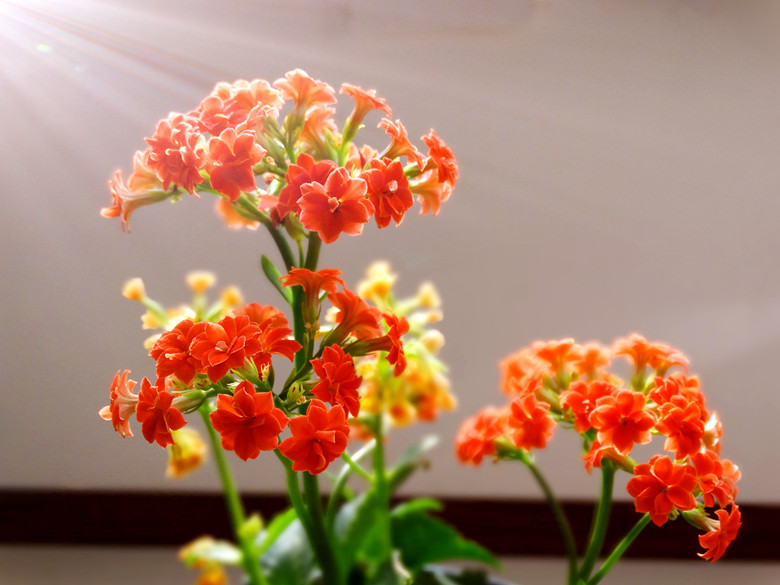 DSC03076_.jpg