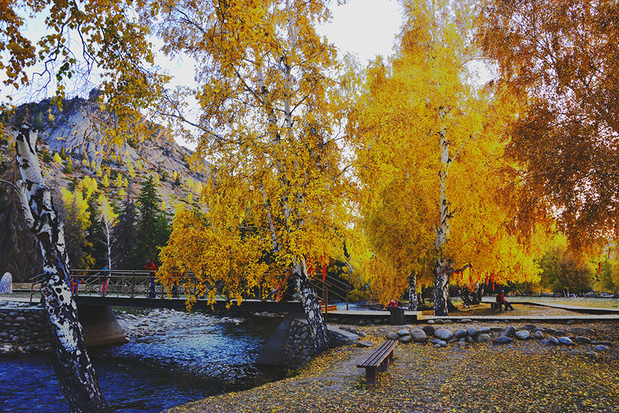 DSC_0109.JPG