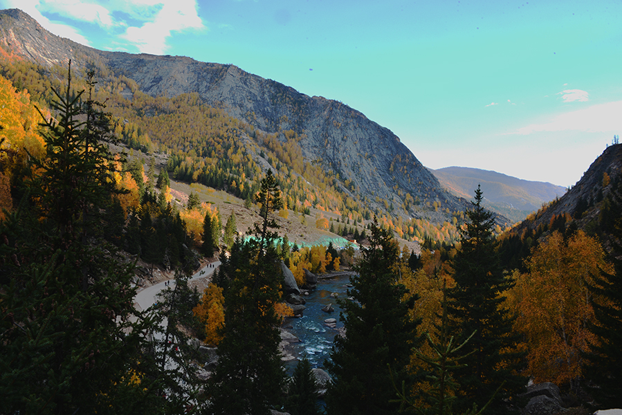DSC_0020.JPG