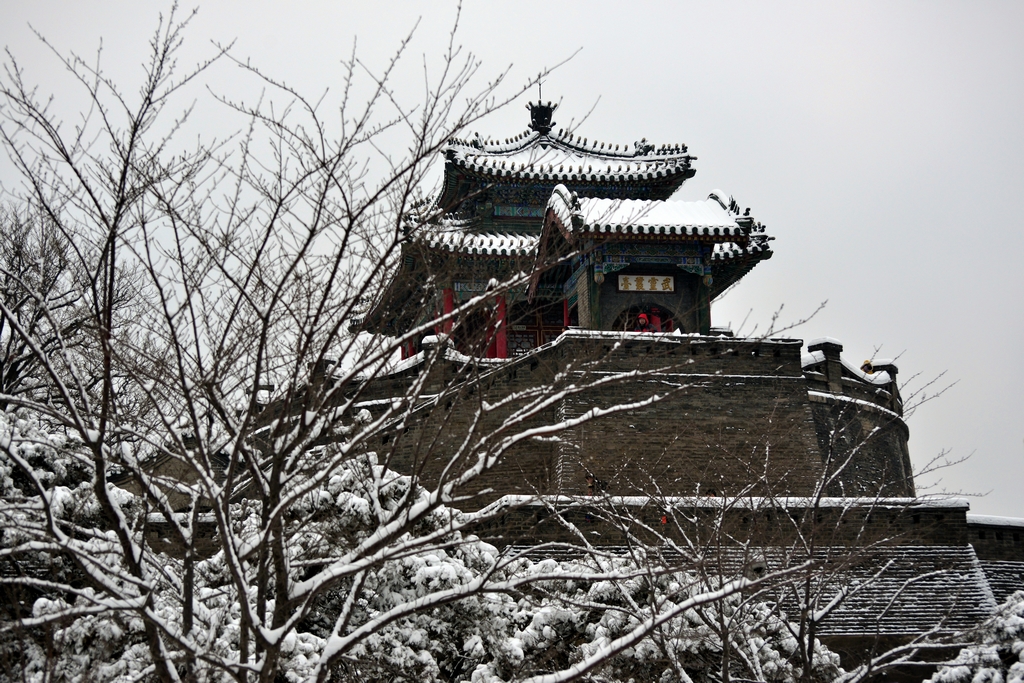 DSC_5306_.jpg