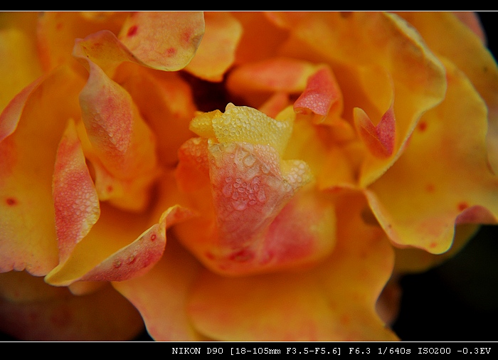 DSC_0113.JPG