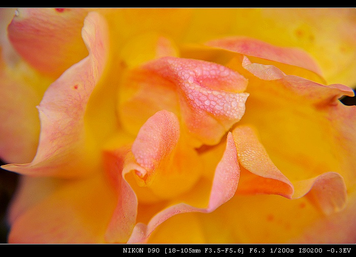 DSC_0115.JPG