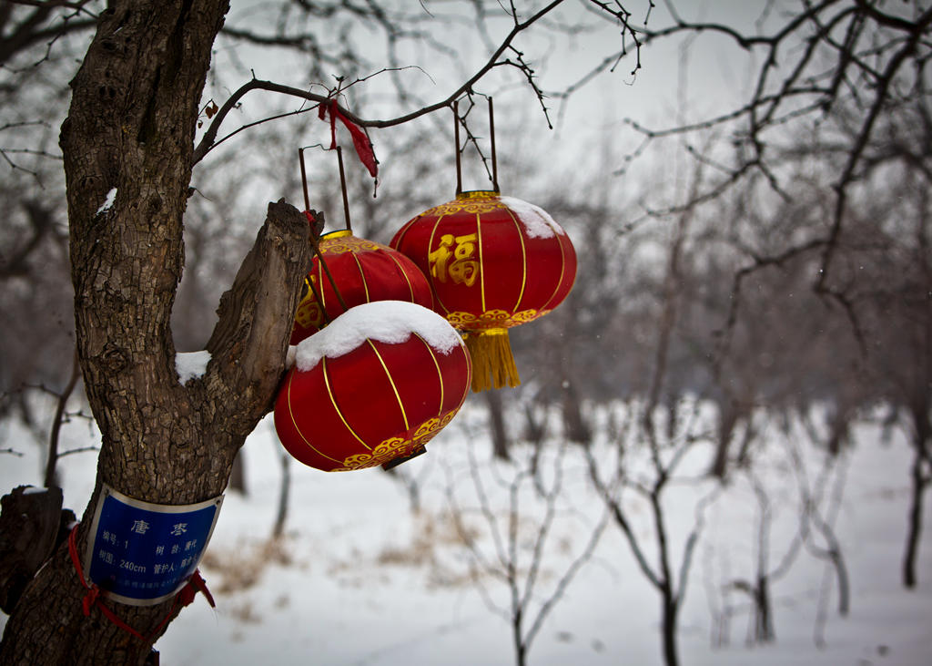 _MG_2657.jpg