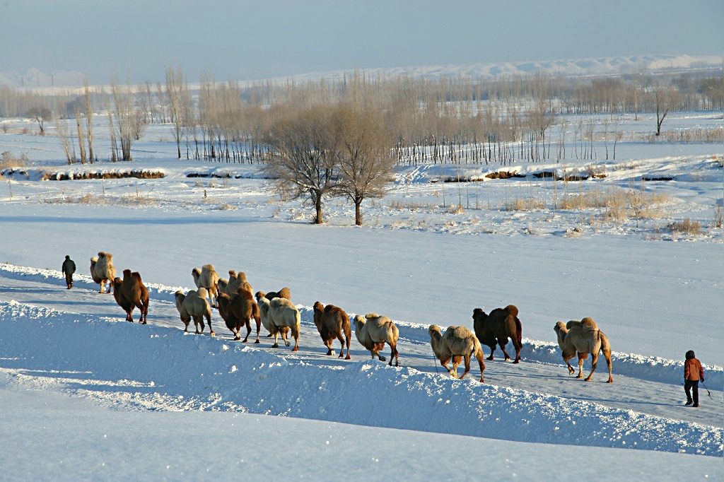 IMG_6482.jpg