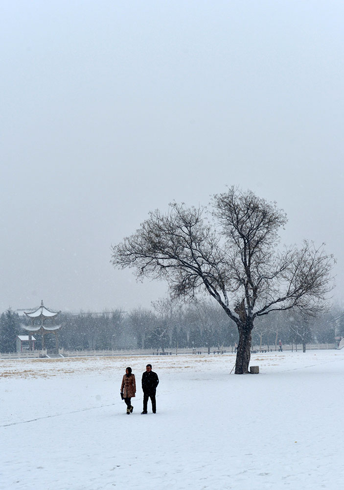 DSC_6158.JPG