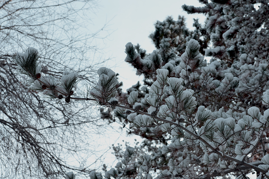 DSC_0012.JPG