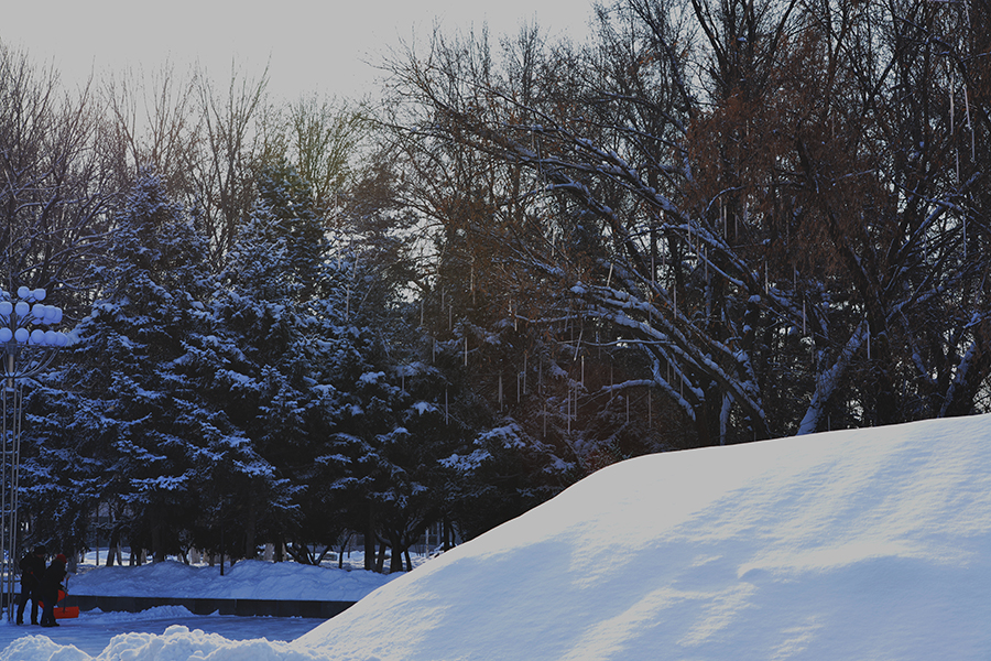 DSC_0030.JPG