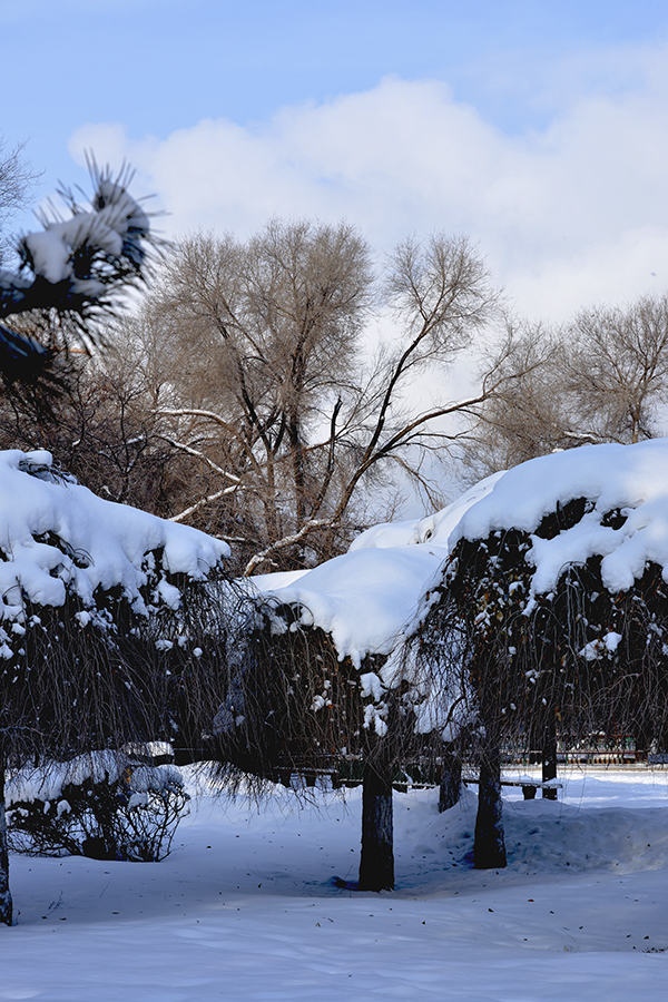 DSC_0059.JPG