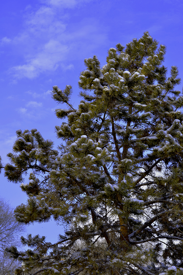 DSC_0066.JPG
