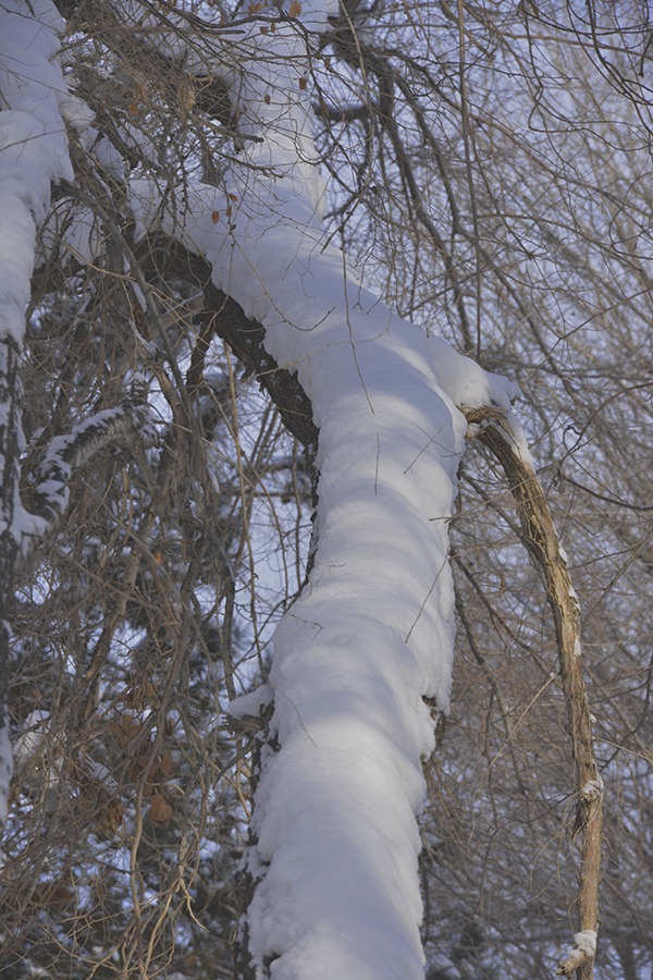 DSC_0076.JPG