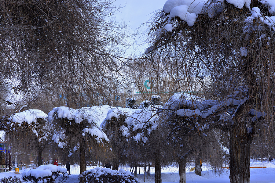 DSC_0082.JPG