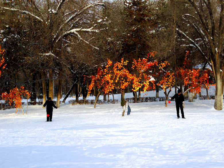 DSC03014_.jpg