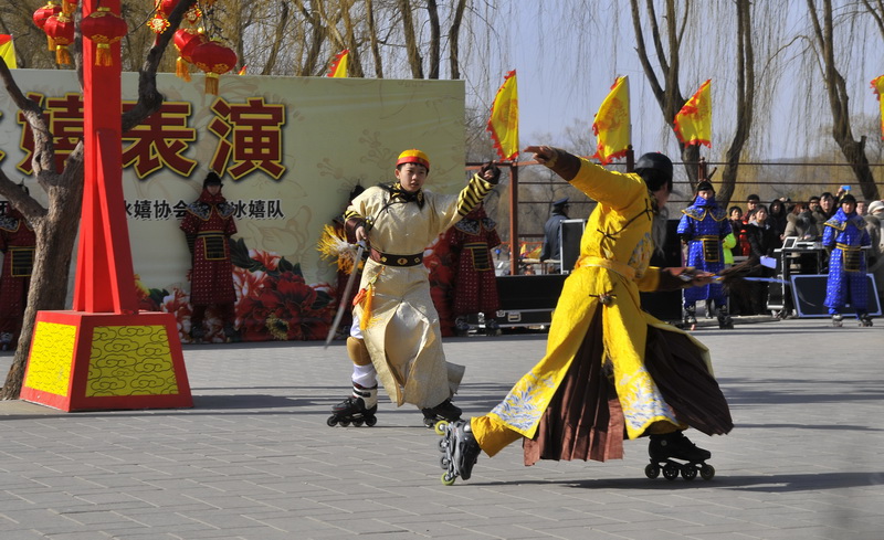 _DSC2010.jpg
