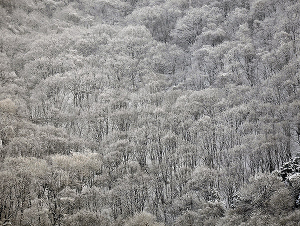 DSC_0239.JPG