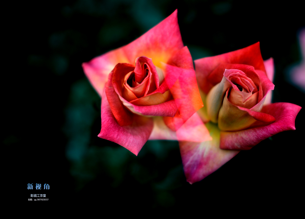 DSC_3198.jpg