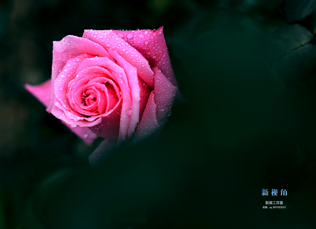 DSC_3265.jpg