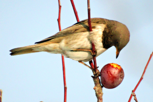 DSC07576.jpg