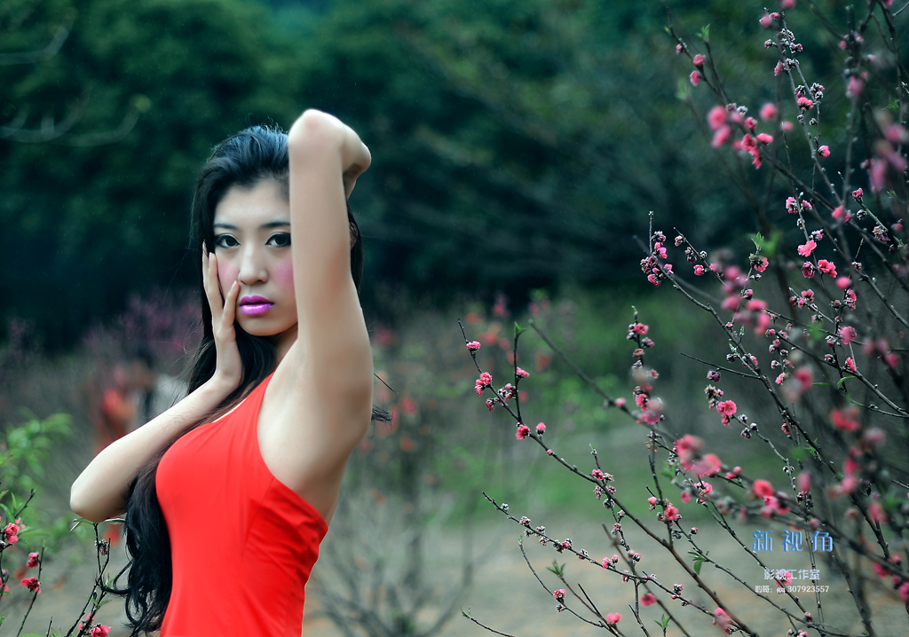 DSC_3460z.jpg