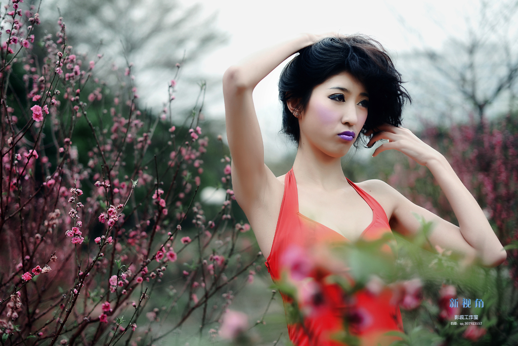DSC_3761z.jpg