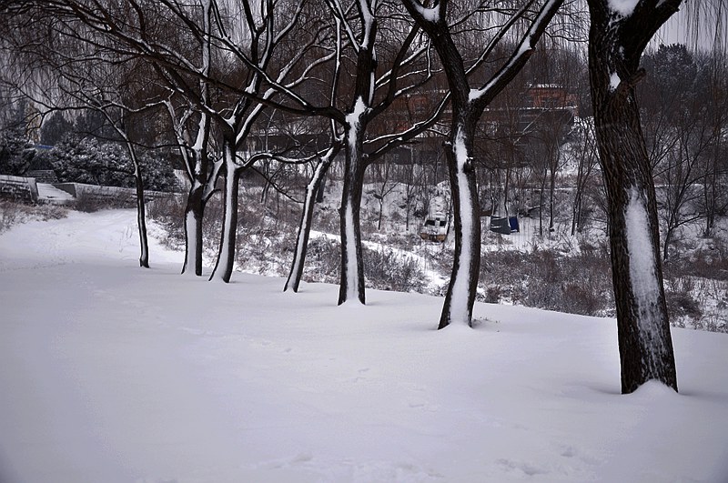 DSC_0477.JPG
