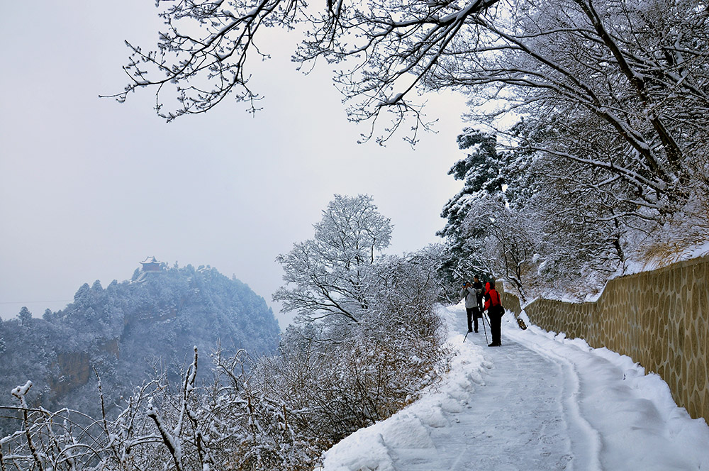 DSC_0094.JPG